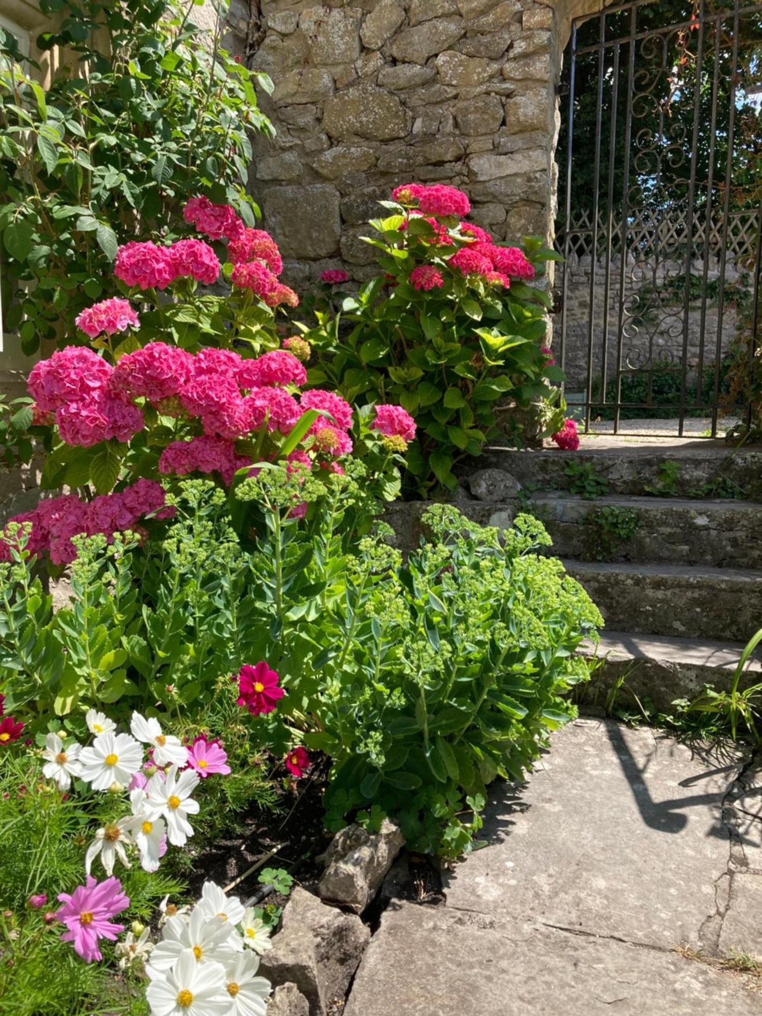 Maplestone Bed & Breakfast Shepton Mallet Eksteriør bilde