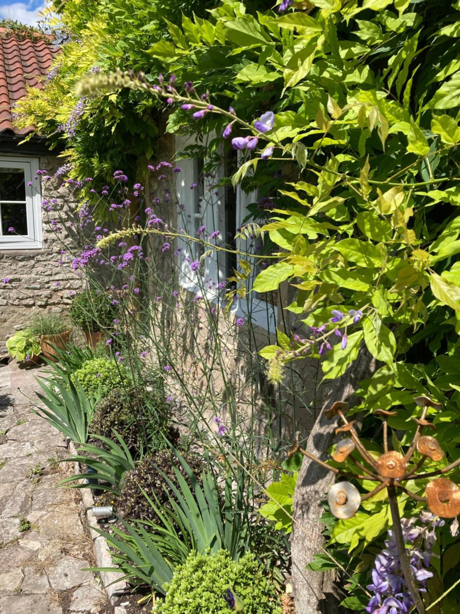 Maplestone Bed & Breakfast Shepton Mallet Eksteriør bilde